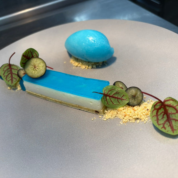 protein dessert